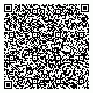 vCard 79138299201