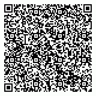 vCard 79138299204