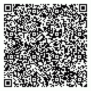 vCard 79138299206