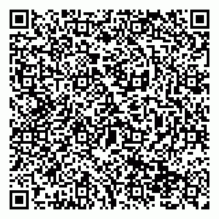 vCard 79138299221