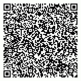 vCard 79138299223