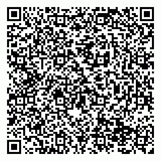 vCard 79138299234