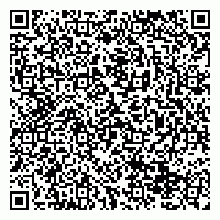 vCard 79138299235