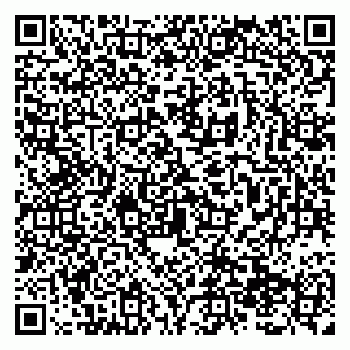 vCard 79138299238