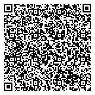 vCard 79138299239