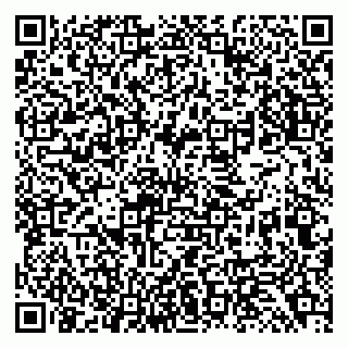 vCard 79138299240
