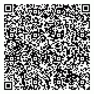 vCard 79138299241