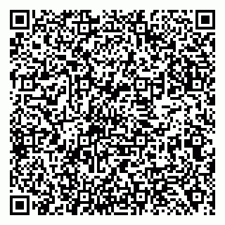 vCard 79138299246