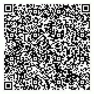 vCard 79138299261