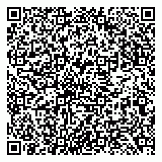 vCard 79138299264