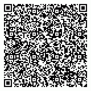 vCard 79138299272