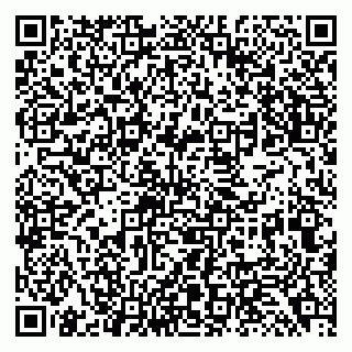 vCard 79138299273