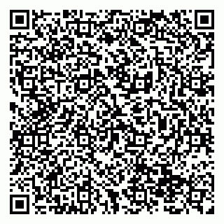 vCard 79138299274