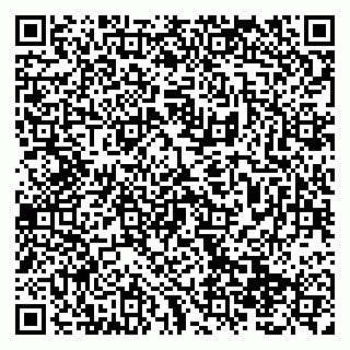 vCard 79138299278