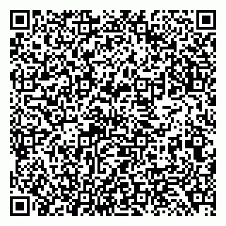 vCard 79138299287
