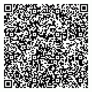 vCard 79138299288