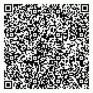 vCard 79138299289