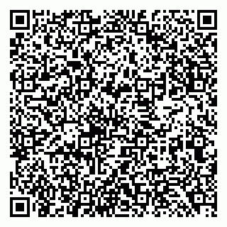 vCard 79138299293