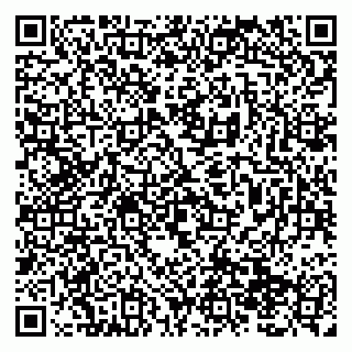 vCard 79138299298