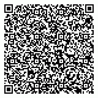 vCard 79138299299