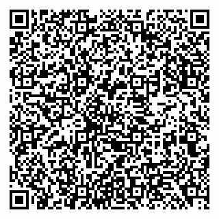 vCard 79138299303