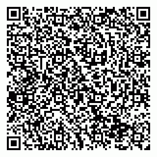 vCard 79138299304