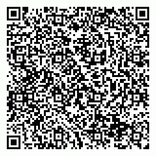 vCard 79138299305