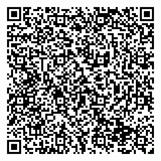 vCard 79138299307