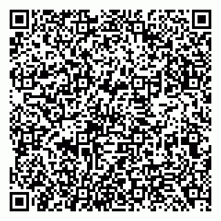 vCard 79138299308