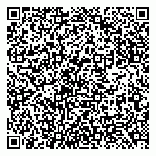 vCard 79138299331