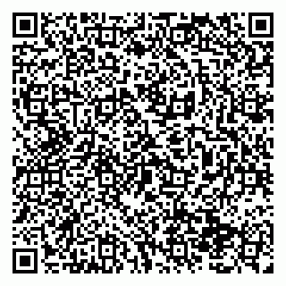 vCard 79138299332