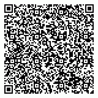 vCard 79138299333