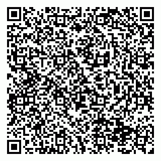 vCard 79138299335