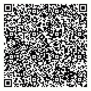 vCard 79138299337