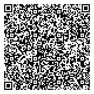 vCard 79138299338