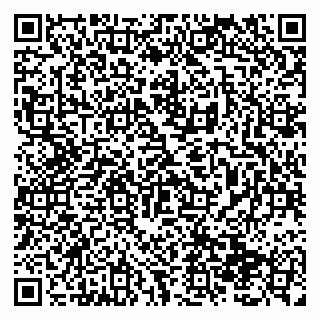 vCard 79138299339