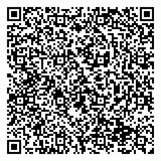 vCard 79138299343