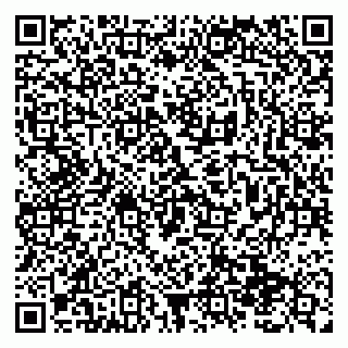 vCard 79138299348