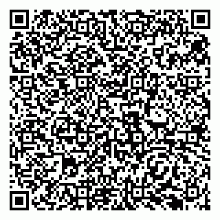 vCard 79138299349