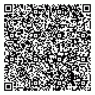 vCard 79138299351