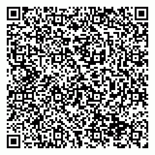 vCard 79138299352