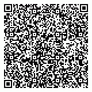 vCard 79138299359