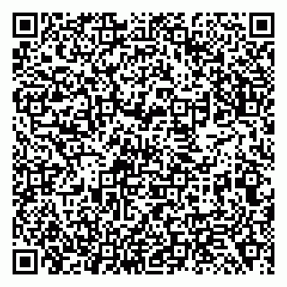 vCard 79138299363