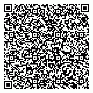 vCard 79138299365