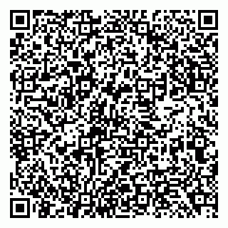 vCard 79138299366