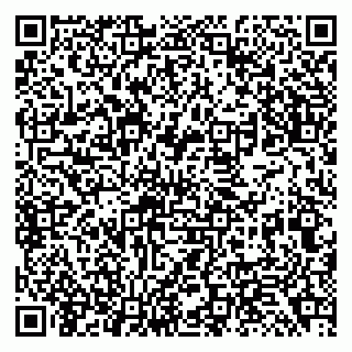 vCard 79138299369
