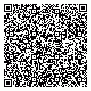 vCard 79138299371