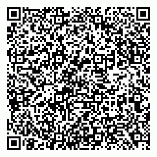 vCard 79138299373