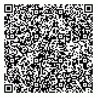 vCard 79138299376