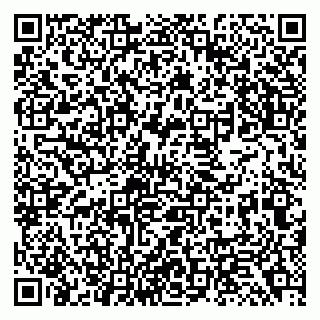 vCard 79138299377